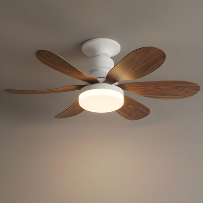 Hemsa Ventilador de Techo con Luz LED y Mando 52 cm
