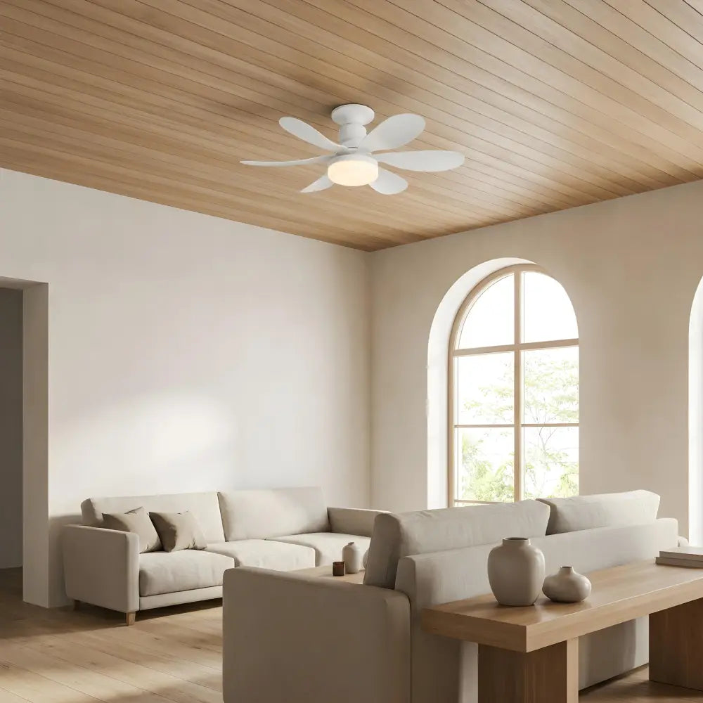 Hemsa Ventilador de Techo con Luz LED y Mando 52 cm