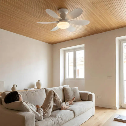 Hemsa Ventilador de Techo con Luz LED y Mando 52 cm