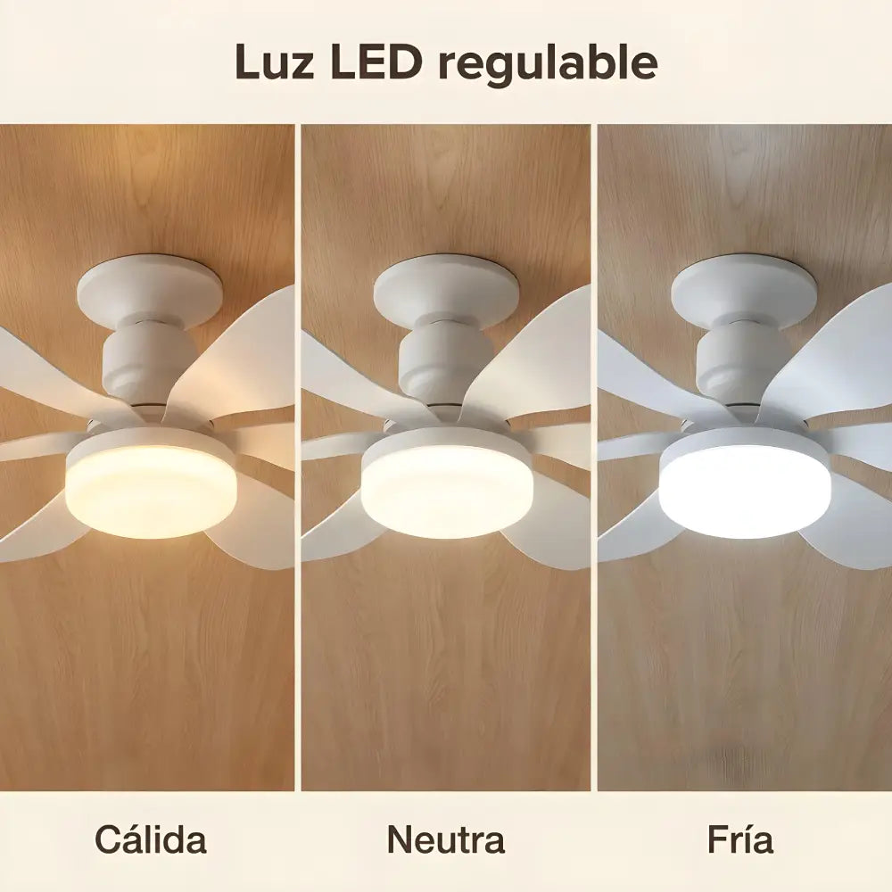Hemsa Ventilador de Techo con Luz LED y Mando 52 cm