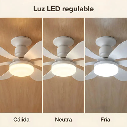 Hemsa Ventilador de Techo con Luz LED y Mando 52 cm